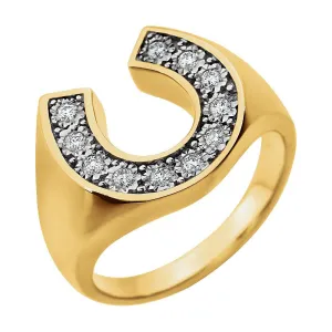 14K Two-Tone 1/4 CTW Diamond Men's Ring, Size 10