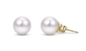 14K Yellow 8 mm Cultured Akoya Pearl Stud Earrings