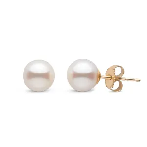 18k Gold Filled  6 mm Classic Pearl Stud