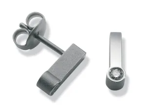 24366-01 TeNo Titanium Earrings
