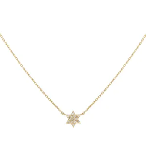 Diamond Mini Star of David Necklace 14K