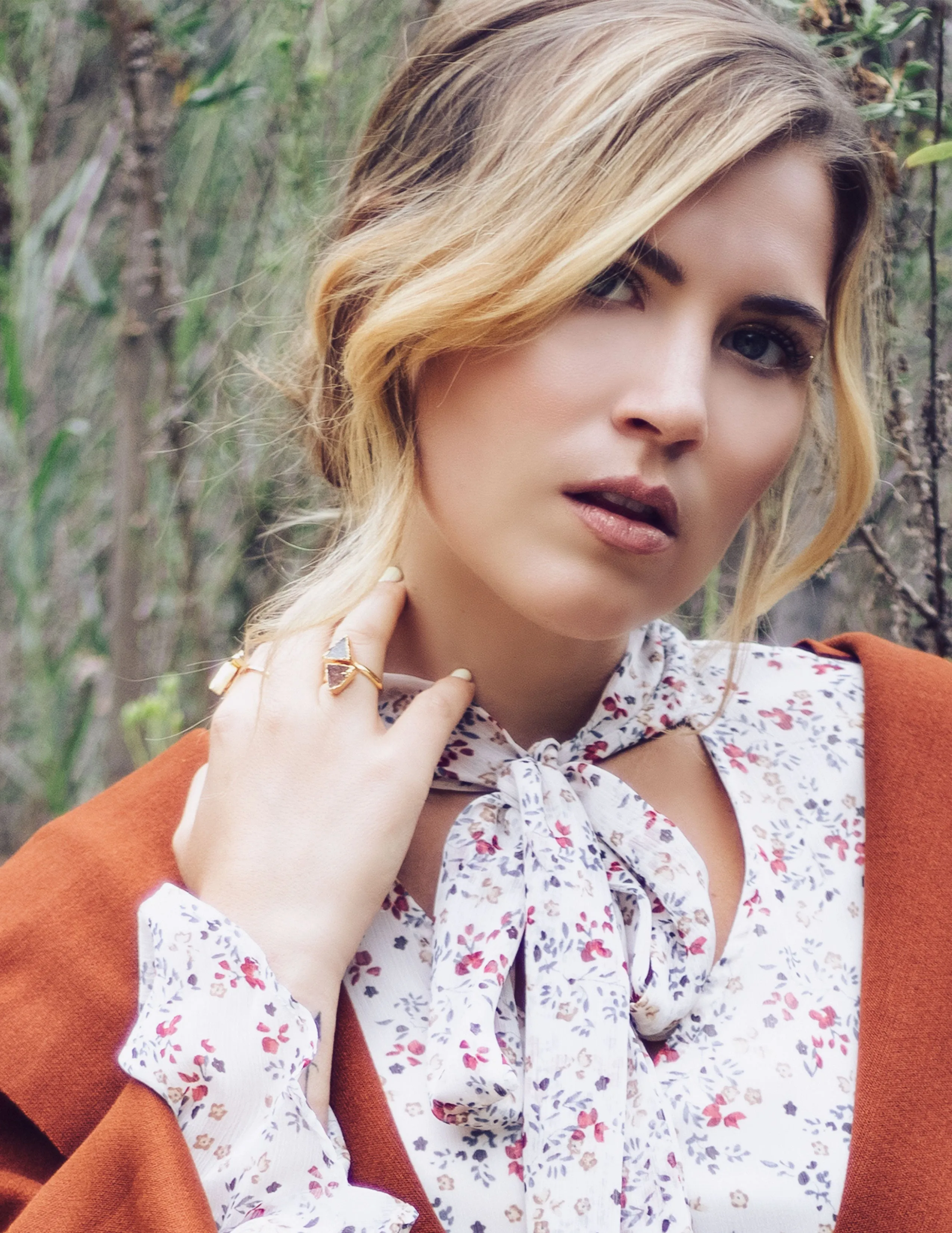 GEOMETRIC DRUZY RINGS