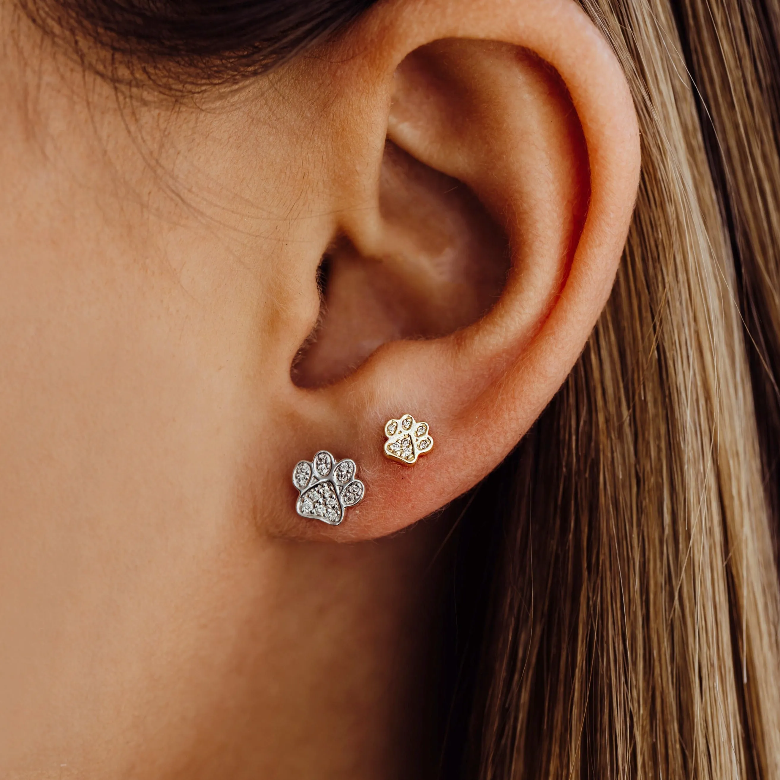 Gold & Diamond Small Paw Stud