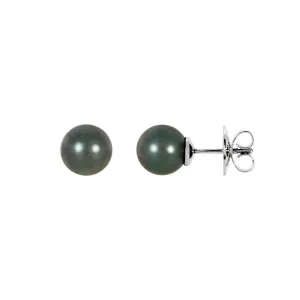 Grey Tahitian Cultured Pearl Stud Earrings, 8.00mm