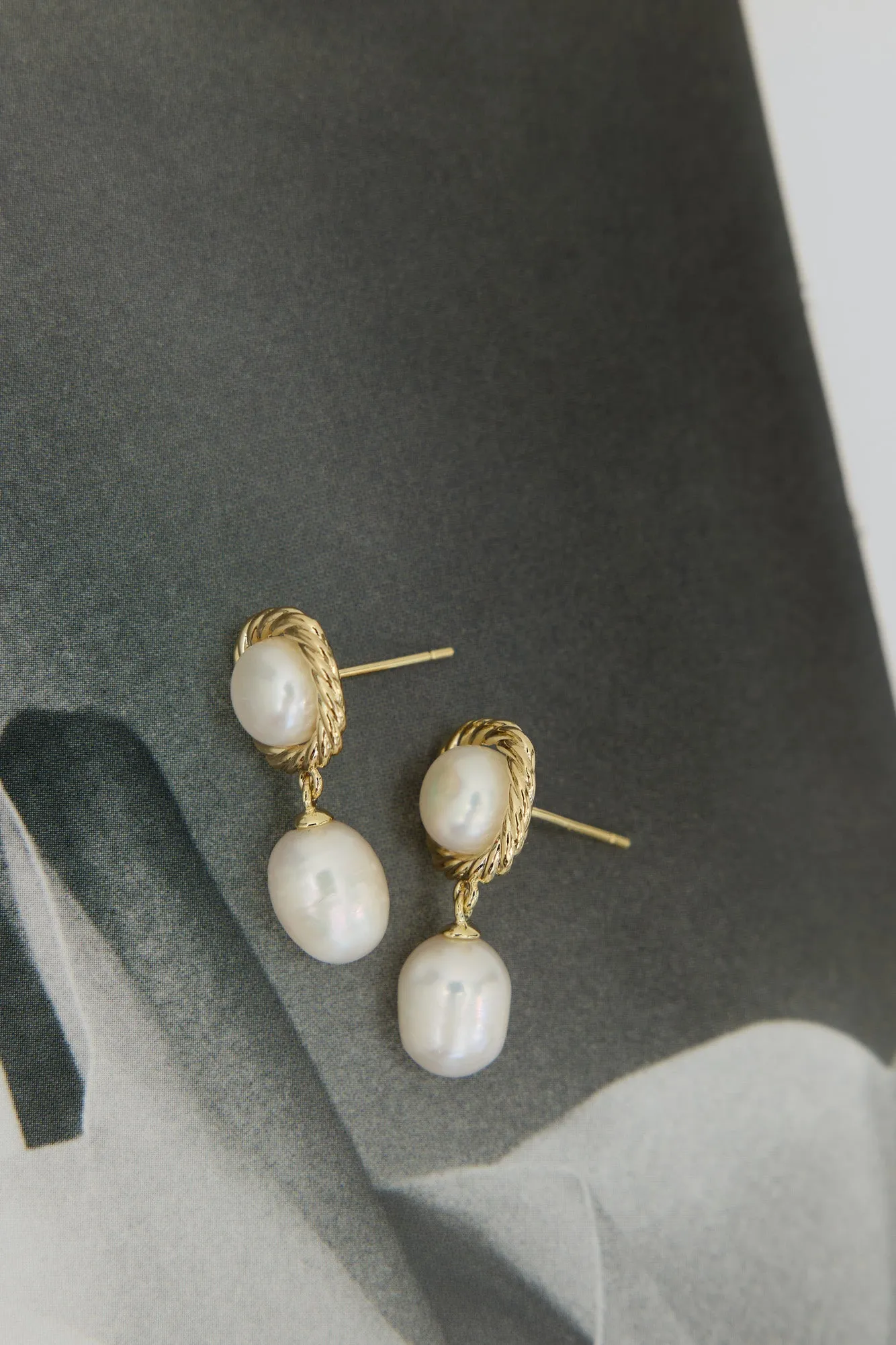 Money Honey Earrings Gold