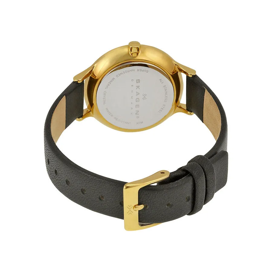 Skagen Anita Gold Dial Black Leather Ladies Watch SKW2266