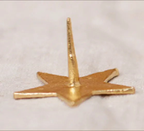 Star Nails Large