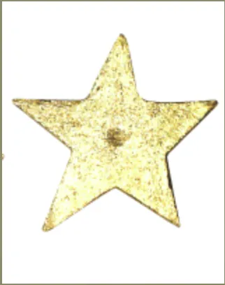 Star Nails Large