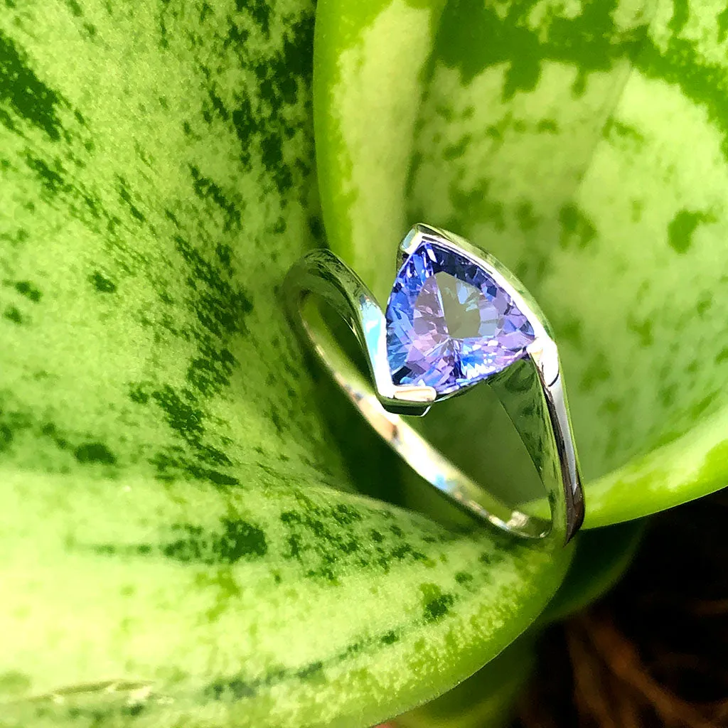 Trilliant Cut Tanzanite with Twisted White Gold Band