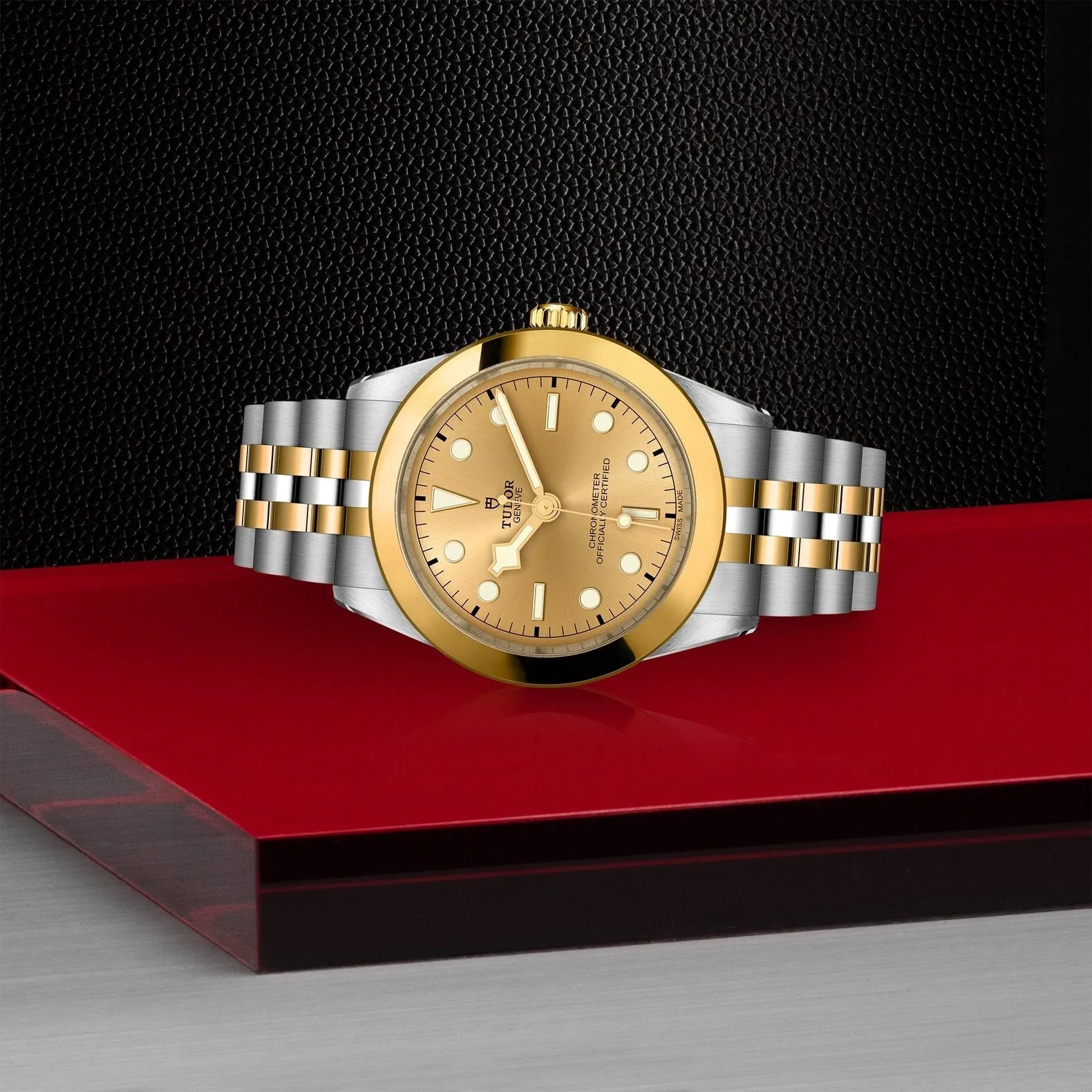 Tudor Black Bay 39 S&G